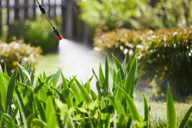 Tamper-Resistant Bait Stations for Rodents in Princeton