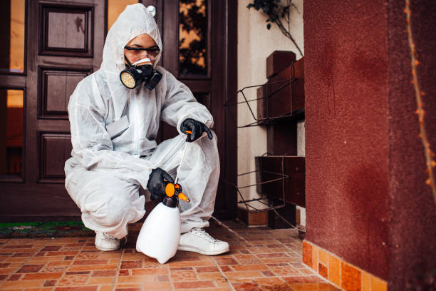 Attic and Crawl Space Rodent Treatment in Princeton